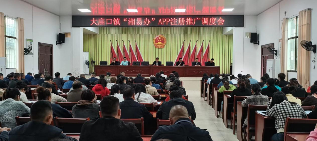 大庙口镇召开“湘易办”APP注册推广调度会