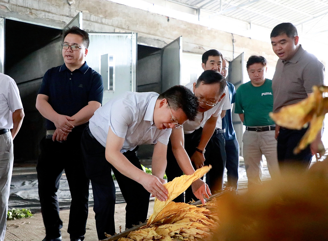 蒋华调研烤烟生产、溪水以南二期项目、S340大庙口至紫花坪段公路建设等工作