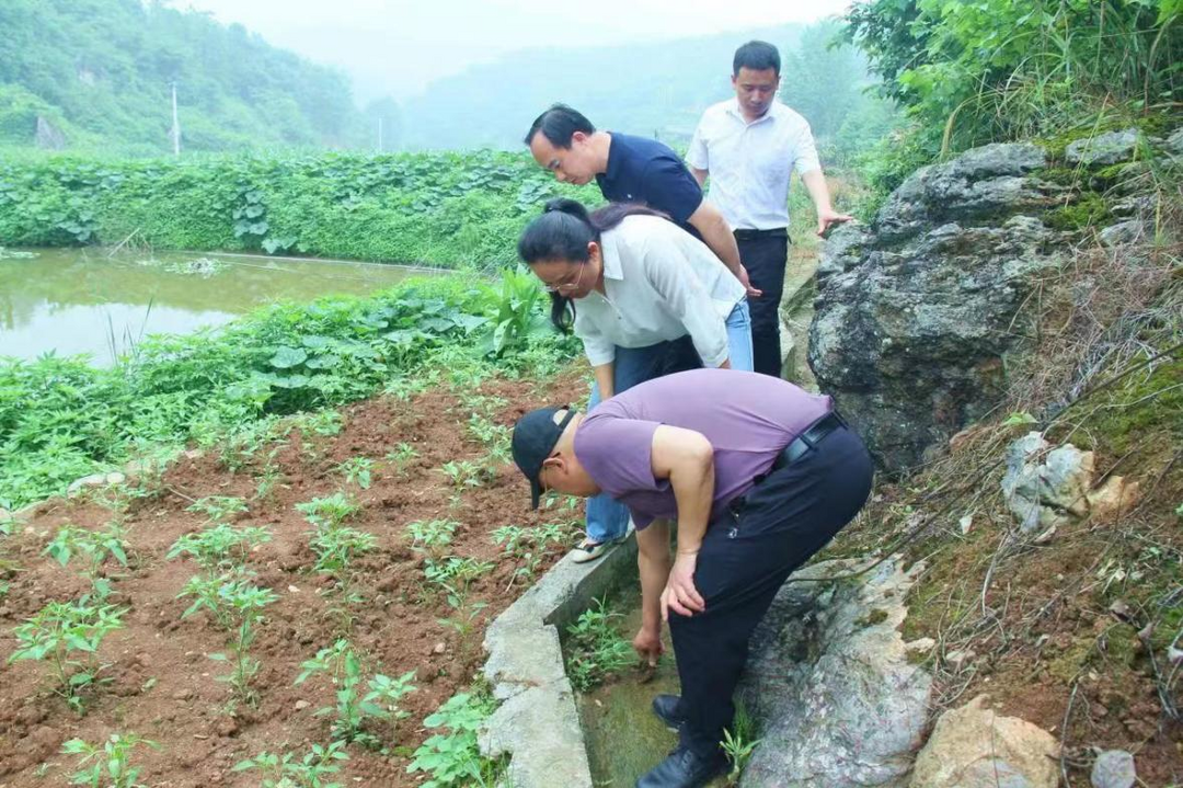 花桥镇刘阳村：水渠维修解民忧 农田灌溉有保障