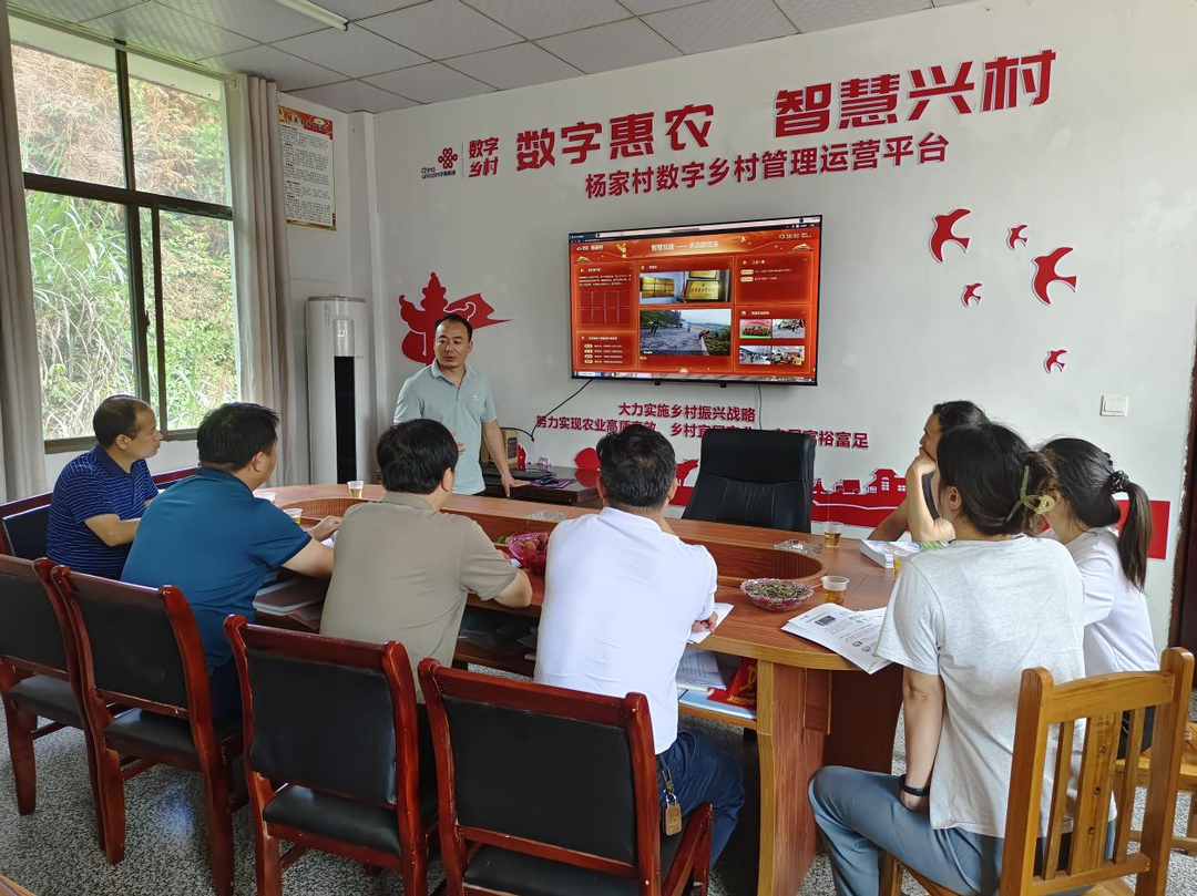 大盛：观摩学习砥党性 交流互鉴促振兴