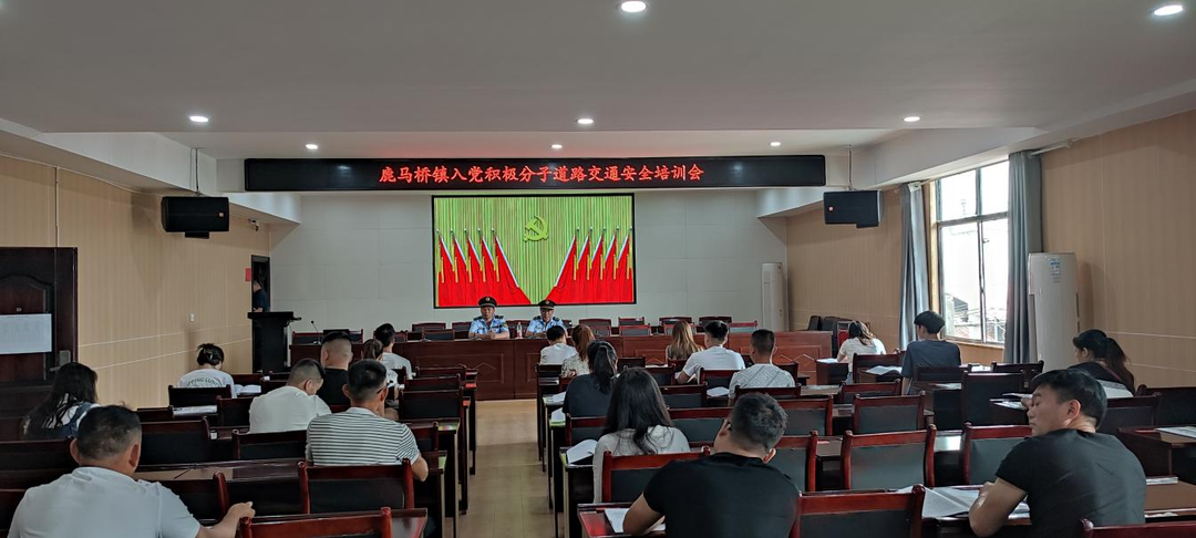 鹿马桥镇开展入党积极分子道路交通安全培训会