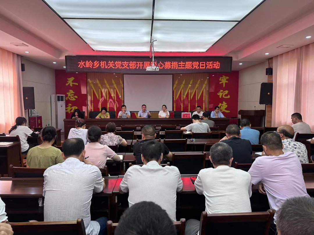 水岭乡政府开展爱心募捐主题党日捐赠活动