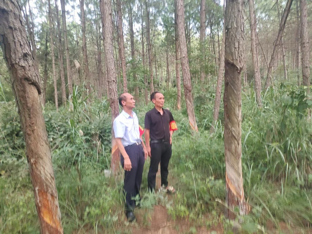 新圩江镇﹕那绿梦、那青山，那藏着心里的故事