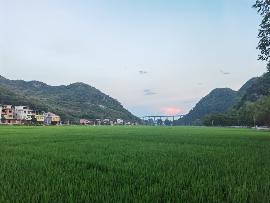 永州东安新圩江镇多措并举护粮田