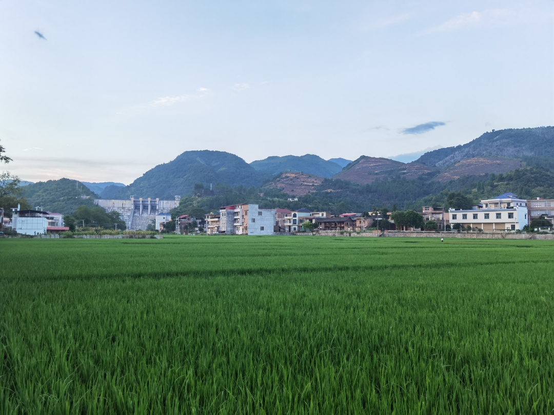 永州东安新圩江镇多措并举护粮田