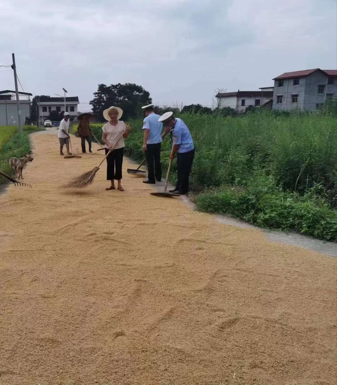 村民占道曬谷，東安交警緊急制止防事故