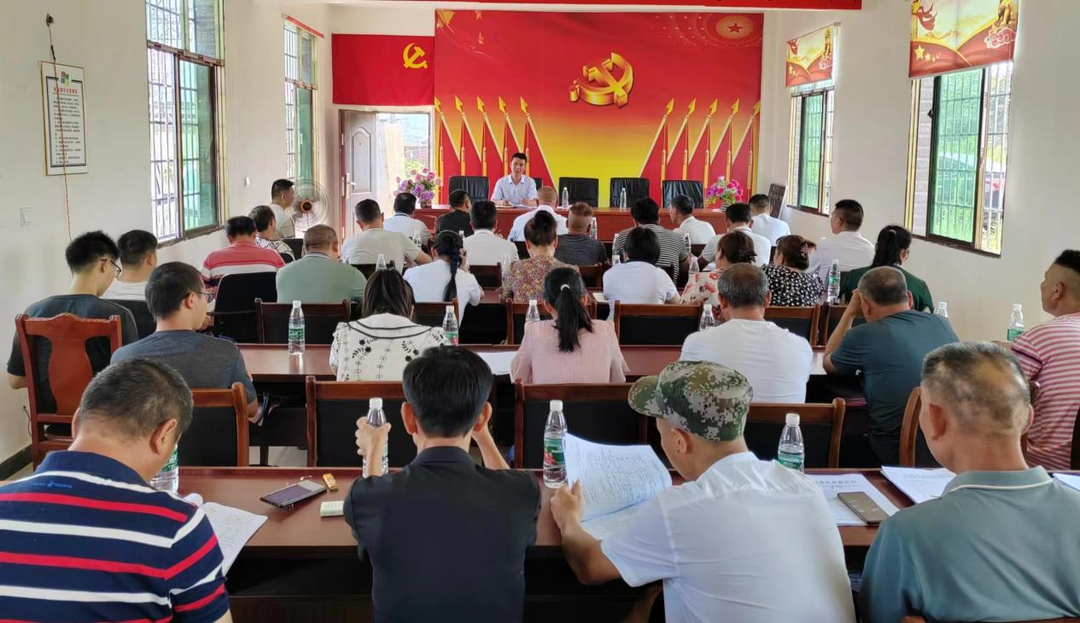 大盛镇：打好“防返贫”保险组合拳 助推辖区高质量发展
