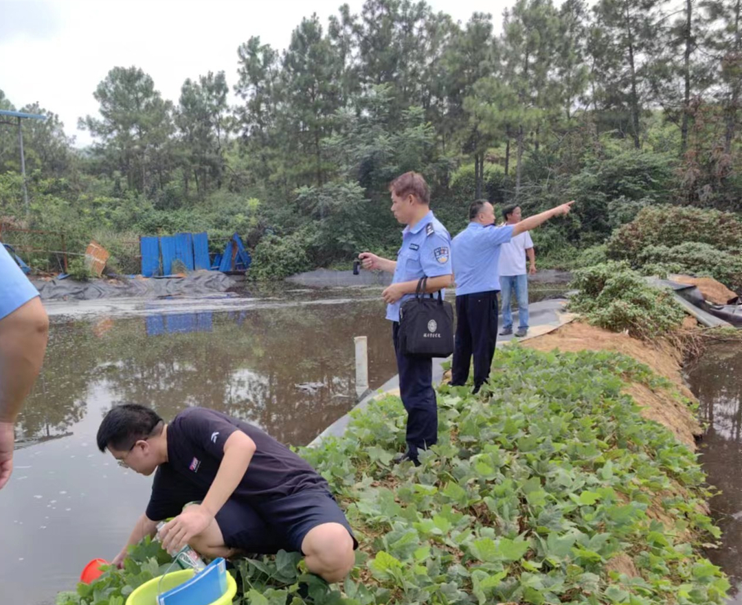东安：​森林公安与环保部门联合执法 共护绿水青山
