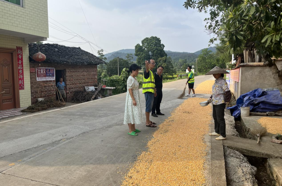东安水岭：整治“占道晒粮” 确保道路畅通