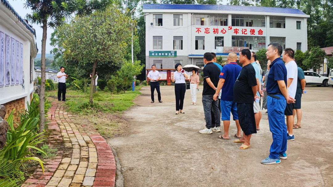 水岭乡组织县乡人大代表调研人居环境整治工作
