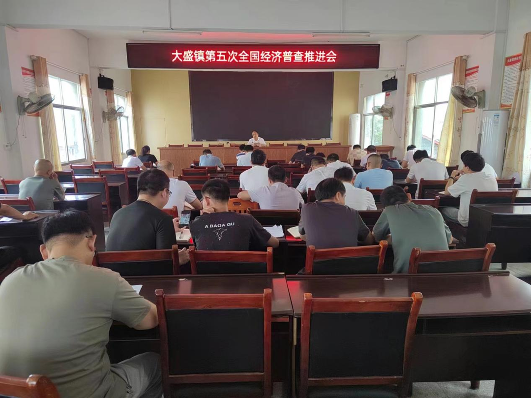大盛镇召开第五次经济普查推进会