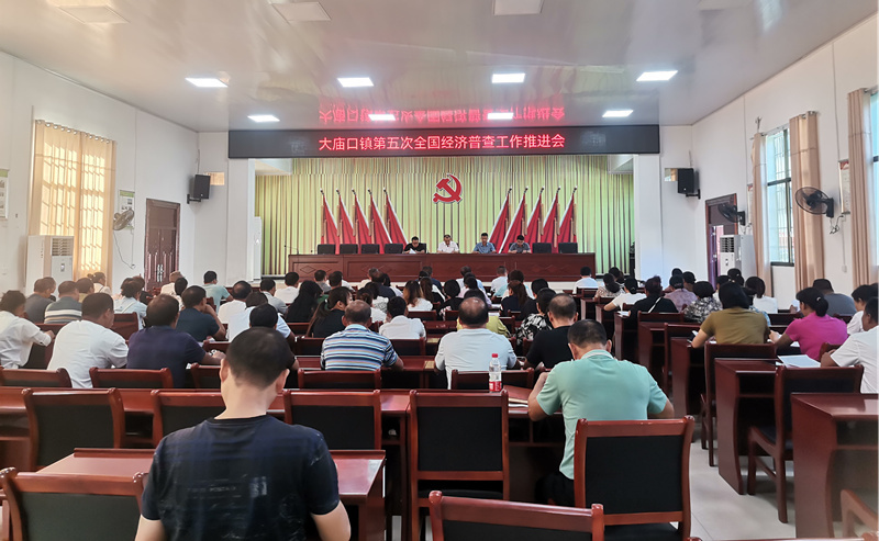 大庙口镇召开第五次全国经济普查工作推进会