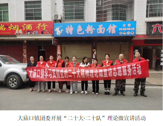 永州东安县大庙口镇：“三突三强”创新路 青春力量共担当