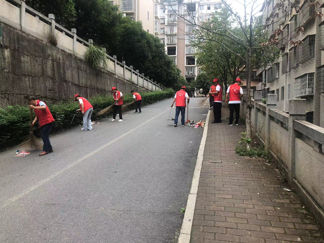 白牙市鎮：志愿我先行   黨員進社區