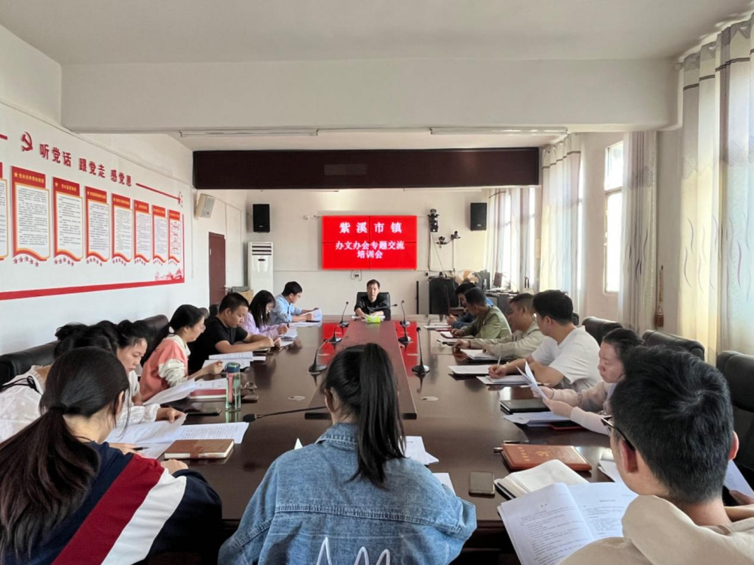 紫溪市鎮召開年輕干部辦文辦會交流培訓會