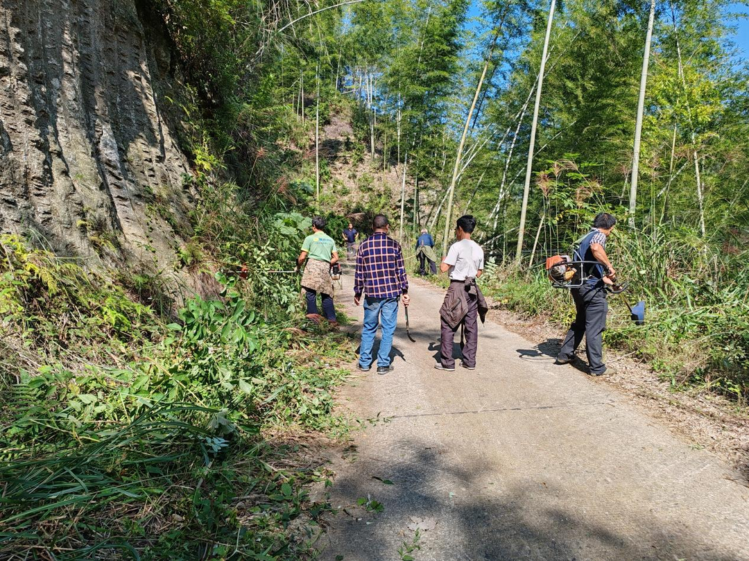 舜管局：主題黨日清路障 踐行初心保安全