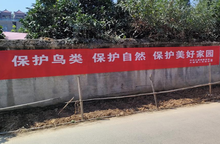 大盛鎮：共同守護候鳥，創造和諧自然