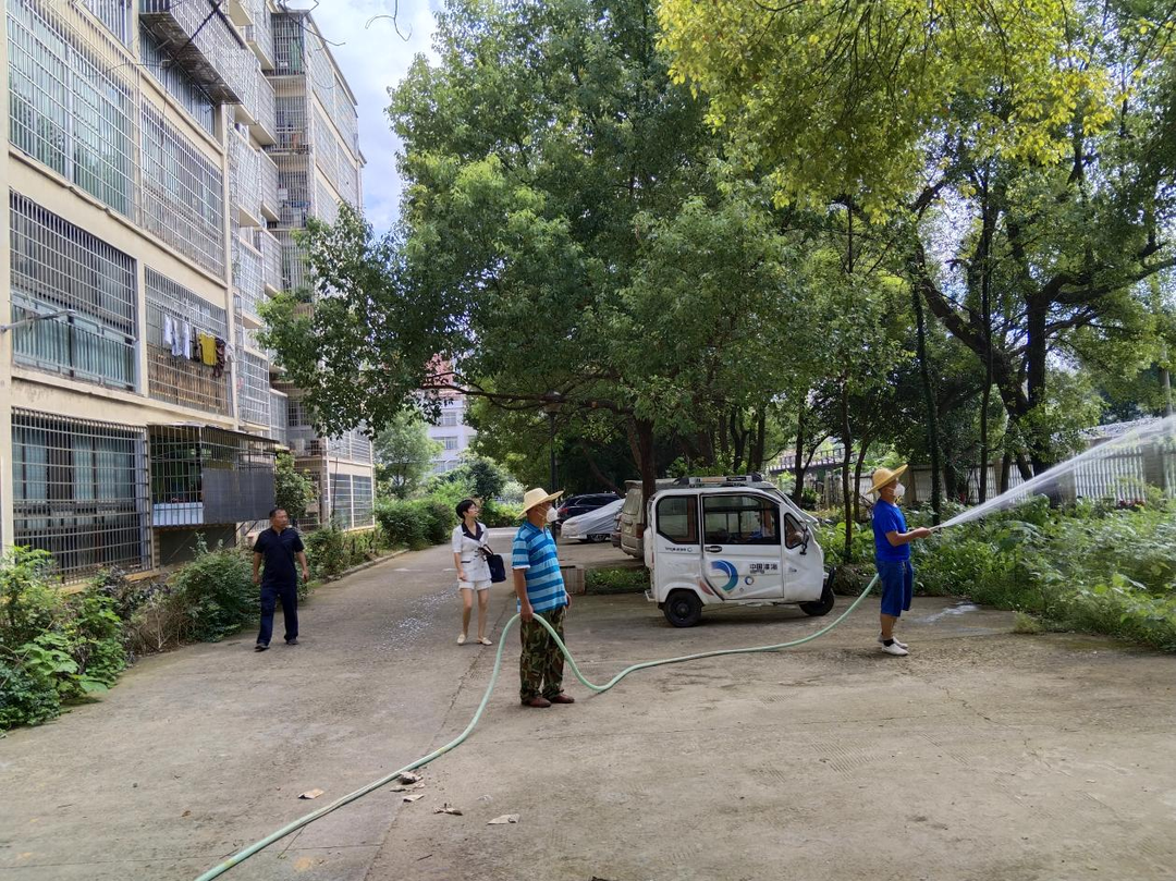 白牙市鎮：開展白蟻防治，保護小區生態環境