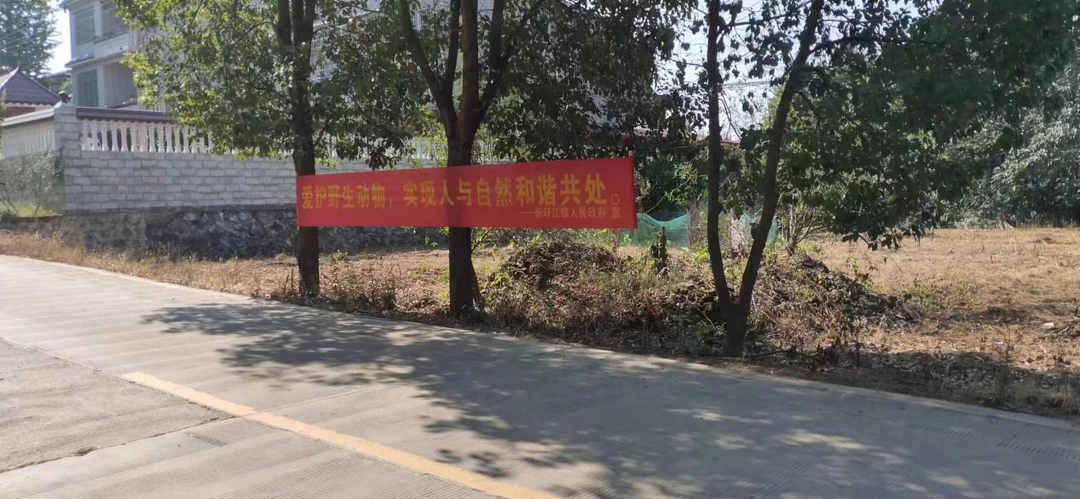 東安新圩江鎮：護航千年鳥道 共守藍天精靈
