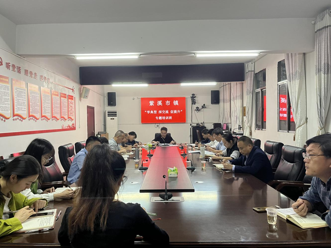 紫溪市鎮：“干部夜?！睘槟贻p干部 “充電賦能”