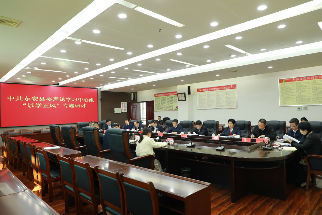 中共东安县委理论学习中心组举行2023年第15次集体（扩大）学习暨“以学正风”专题研讨