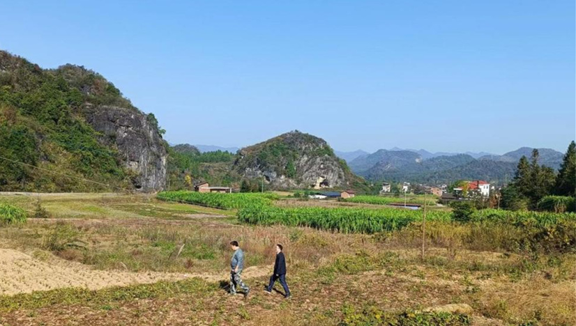 新圩江鎮恢復耕地集中攻堅進行時