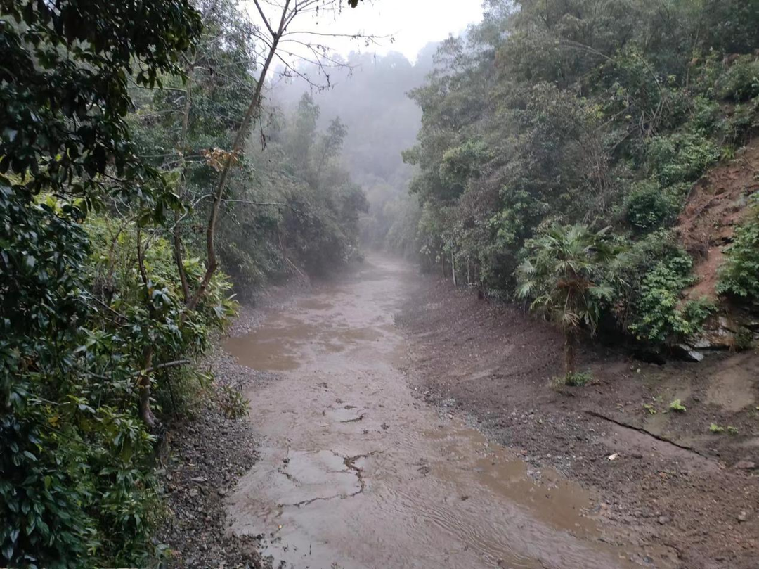 黃泥洞林場：讓綠水青山常在