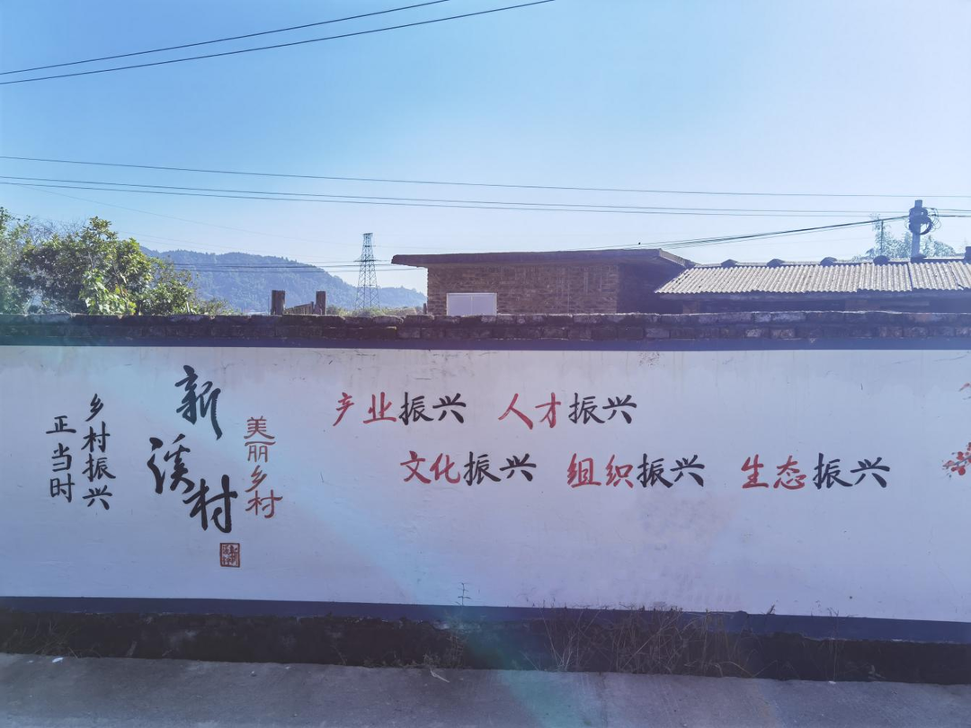 大廟口鎮：黨建引領聚合力 鄉村振興添動力