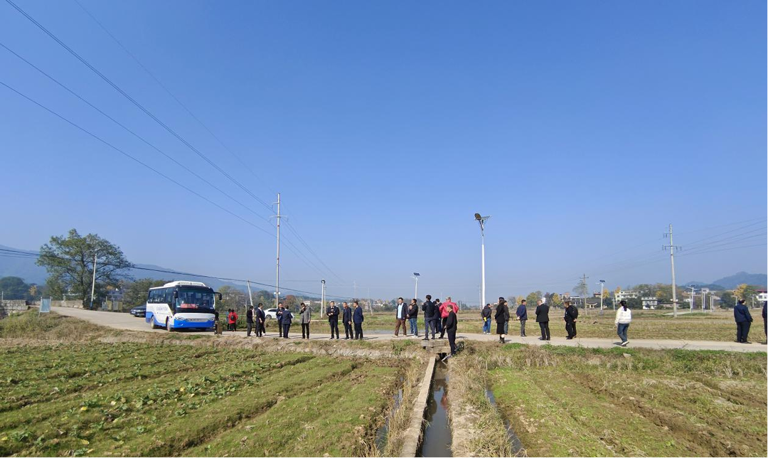 大盛鎮：開展人居環境“大比武”，打造美麗宜居“小鄉村”