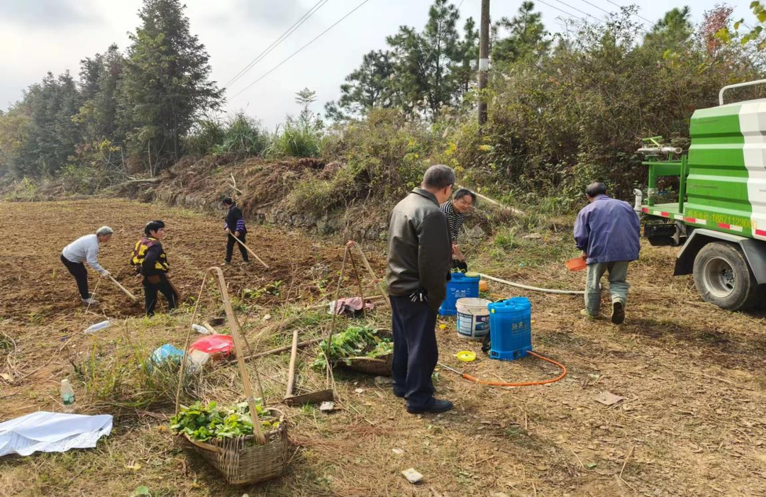 水岭乡： “稻油轮作” 模式 助推农民增收