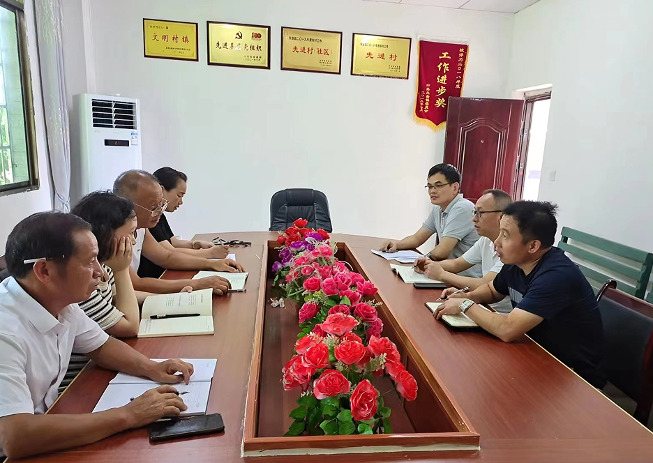 大盛镇：为民解忧办实事 倾心帮扶助振兴
