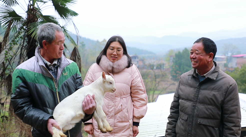 东安水岭：冬至到  羊肉俏