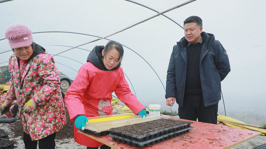 東安：烤煙育苗起好步 農(nóng)民增收有盼頭