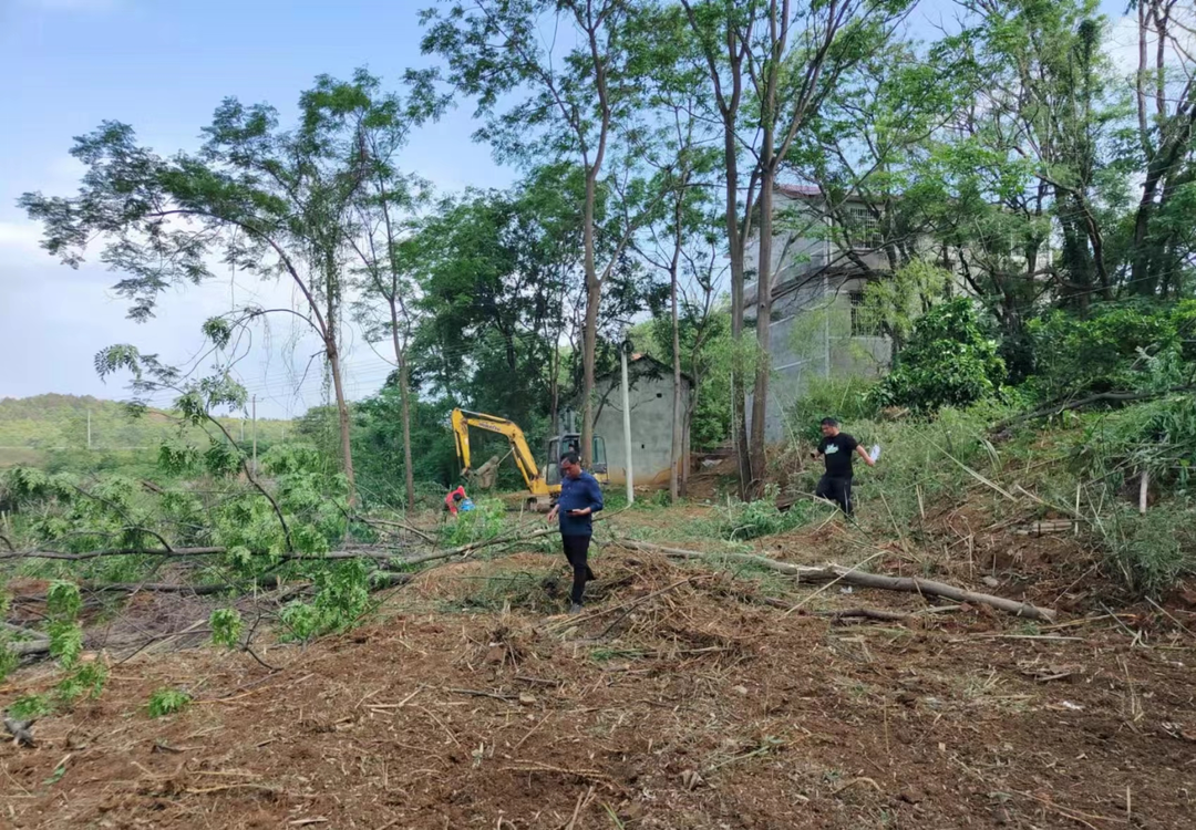 端橋鋪鎮(zhèn)：耕地保護有力度，“雙非”荒地換新顏