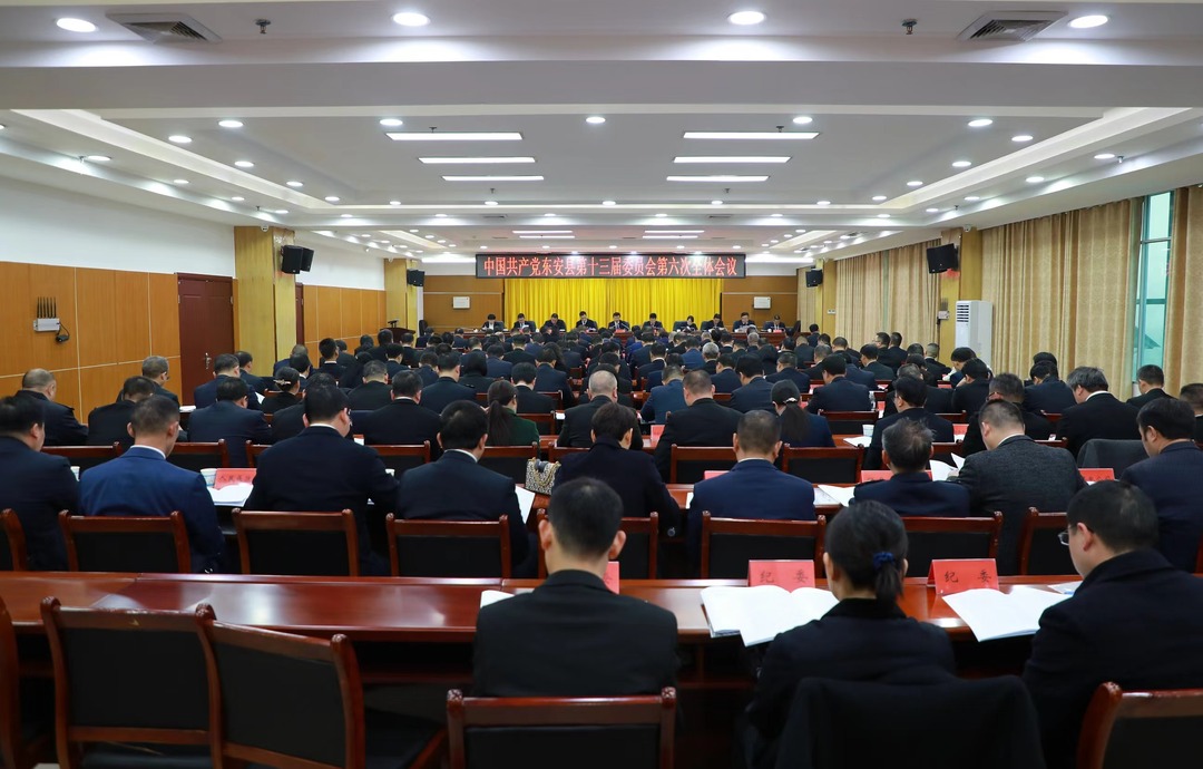 中共东安县委十三届六次全体会议召开