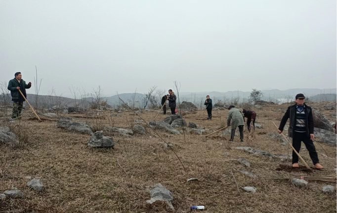石期市鎮(zhèn)：扎實開展石漠化造林 守護老百姓的綠水青山