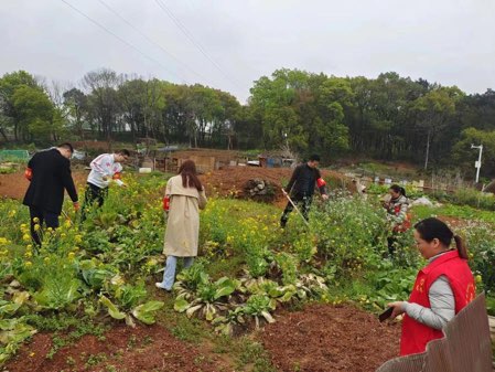 白牙市鎮(zhèn)紫水社區(qū):  鏟毒踏查與禁毒宣傳雙管齊下