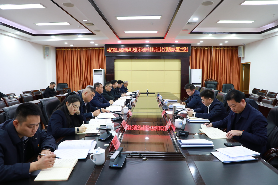 东安县人民政府党组召开学习贯彻习近平新时代中国特色社会主义思想主题教育专题民主生活会