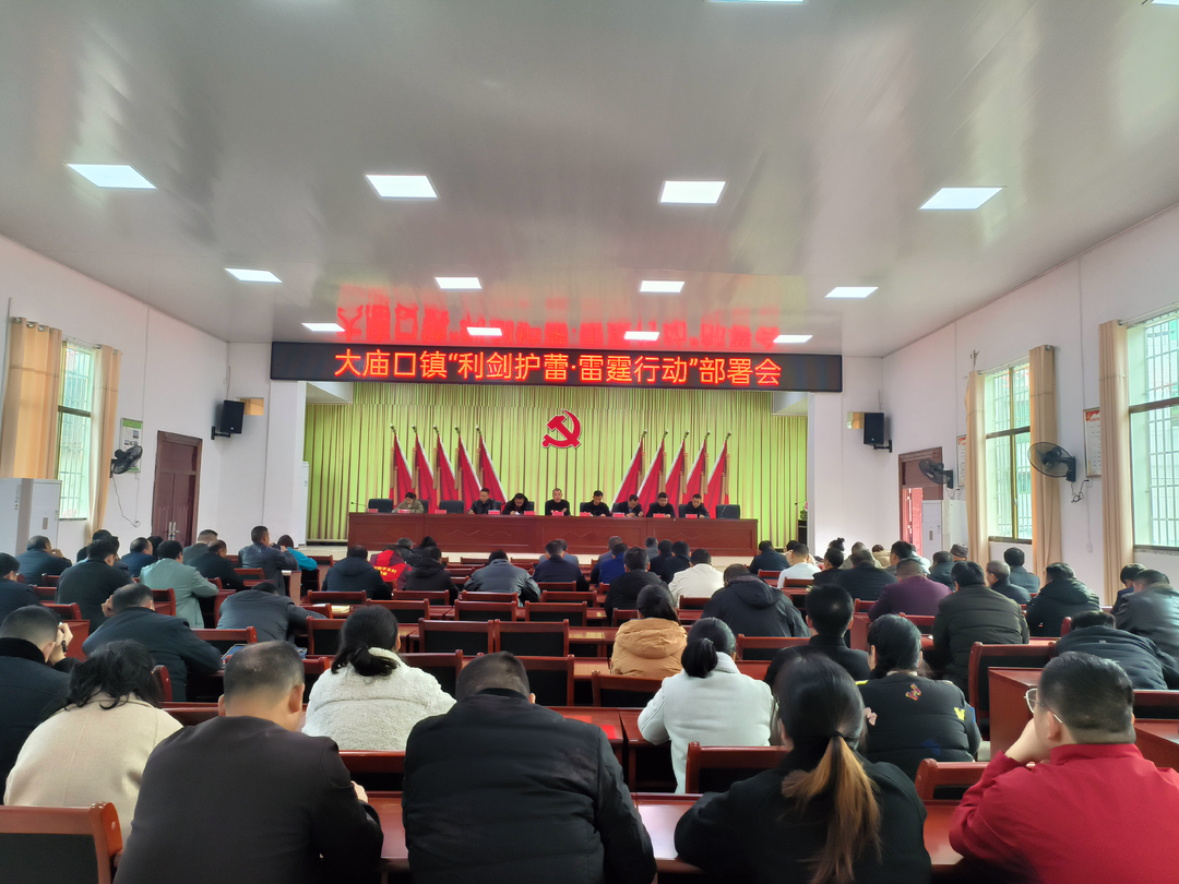 大廟口鎮：黨建引領(lǐng)聚合力 多措并舉護花蕾