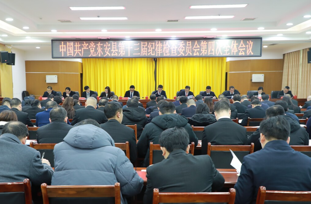 中共东安县第十三届纪律检查委员会第四次全体会议召开第二次、第三次会议
