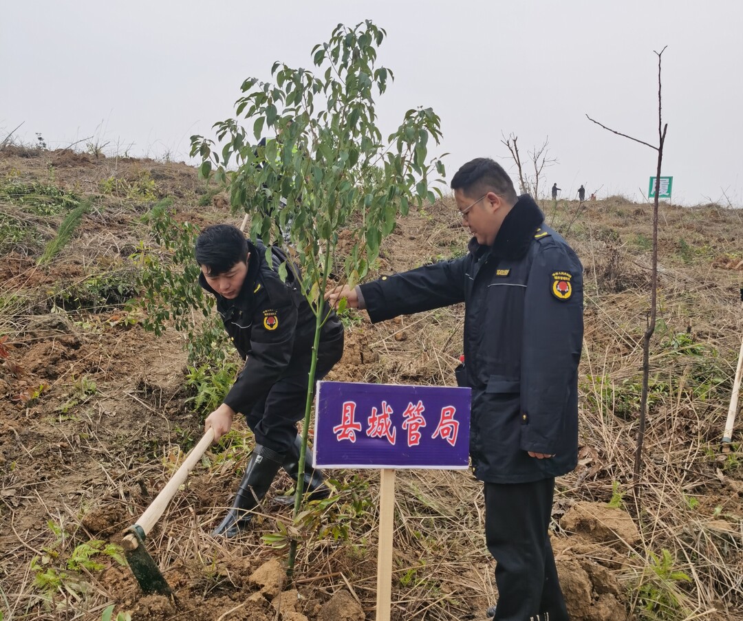 东安城管植树添绿