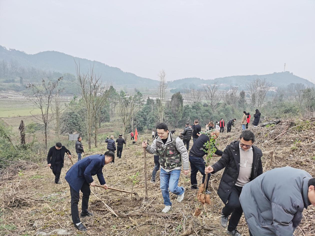 大庙口镇：开展义务植树，共建绿色家园