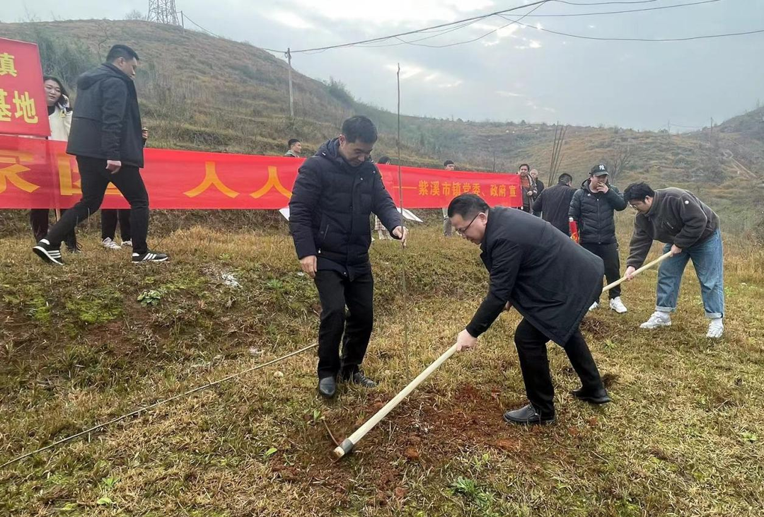 紫溪市镇开展义务植树活动