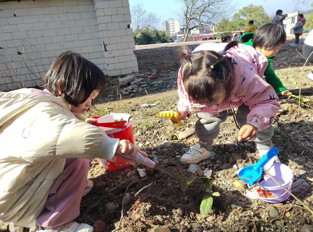 石期市镇中心幼儿园开展“我是植树小达人”主题活动