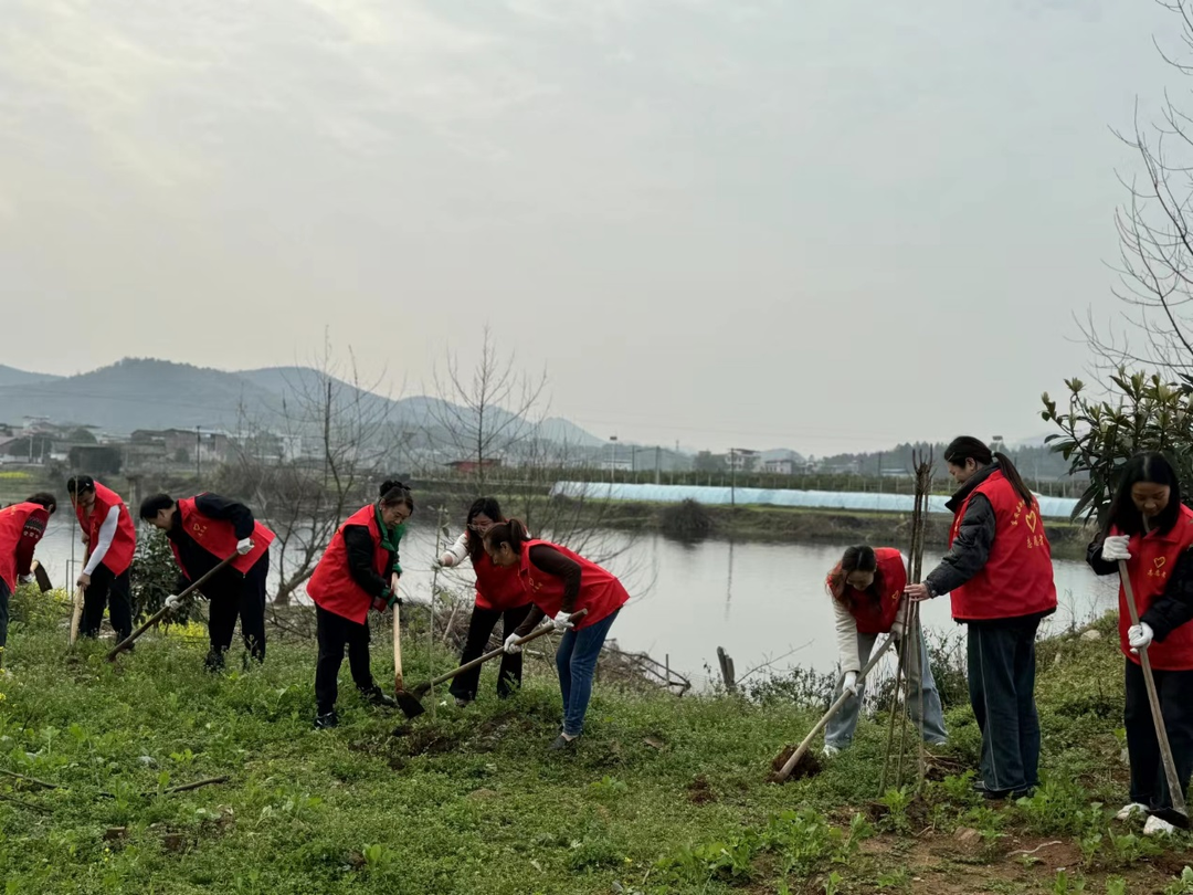紫溪市镇组织开展义务植树活动