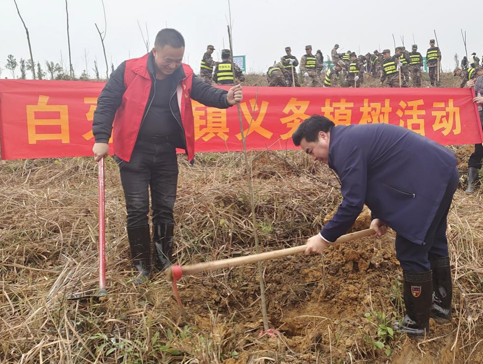 白牙市镇：义务植树添新绿，乡村振兴擎发展