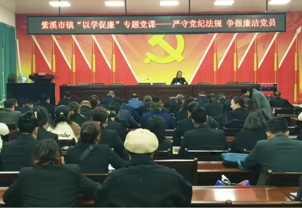 紫溪市鎮：廉政教育助推黨員冬春訓