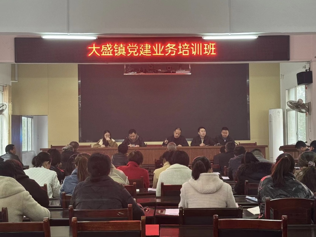 大盛鎮開(kāi)展2024年黨建工作業(yè)務(wù)專(zhuān)題培訓