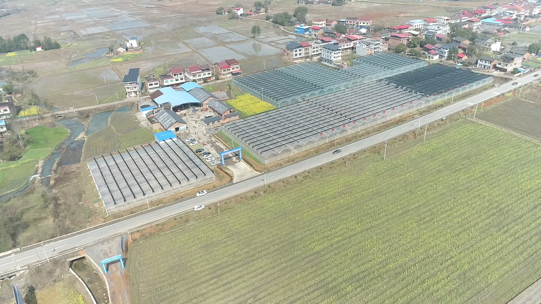 東安：機械化育秧開辟農業增效新路徑