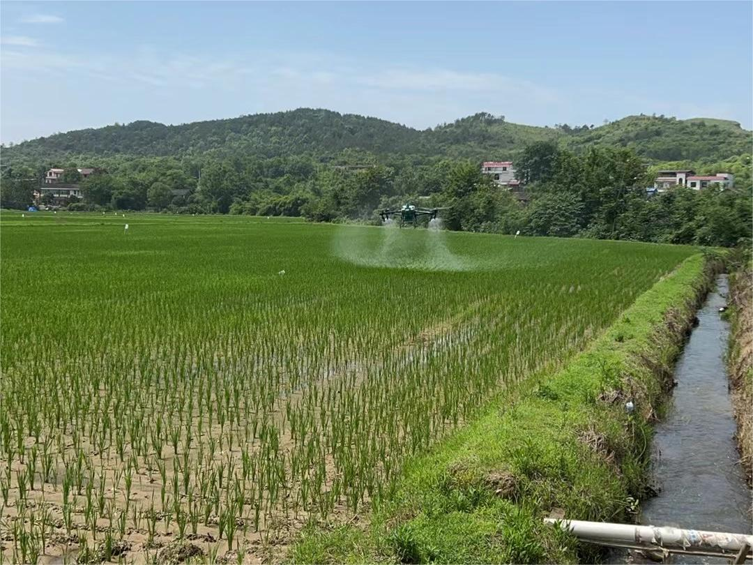 東安新圩江鎮(zhèn)：植保無人機飛防作業(yè) 科技助力防病增收